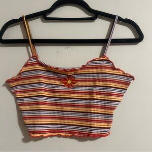 Striped Multicolor Crop Top